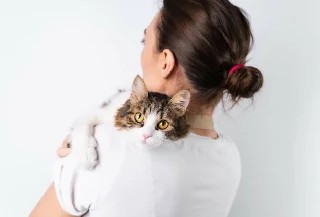 Curso gratuito online de Adestramento de Gatos com certificado