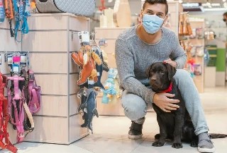 Curso gratuito de Administração de Pet Shop