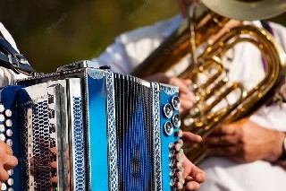 Curso gratuito de Básico em Acordeon
