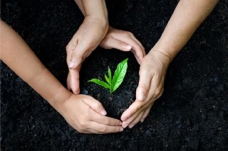 Curso gratuito de Básico em Educação Ambiental