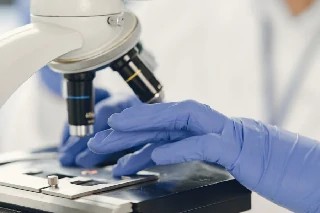 Curso gratuito de Básico em Microscopia
