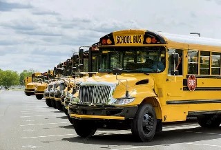 Curso gratuito de Transporte Escolar